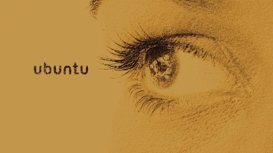 156076494_313327e008_o