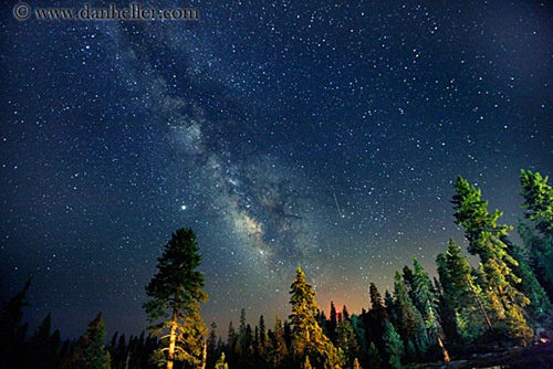 milky_way-galaxy-n-trees-1-big