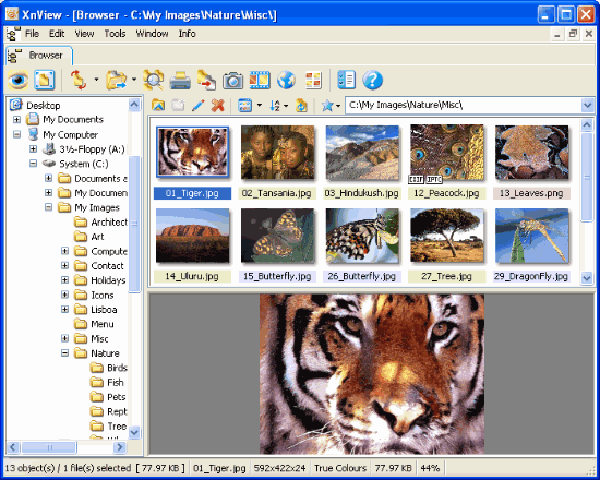 xnview picture viewer