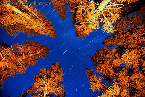 yosemite-stars-3-big