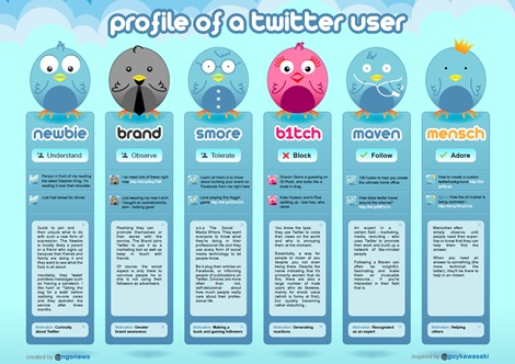 Profile of a twitter user